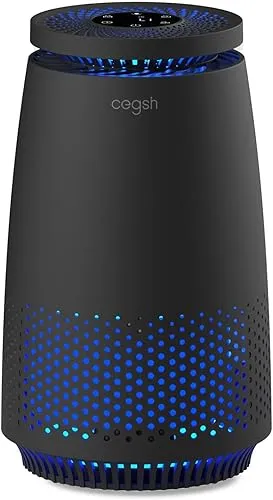 Air Purifiers for Home Bedroom