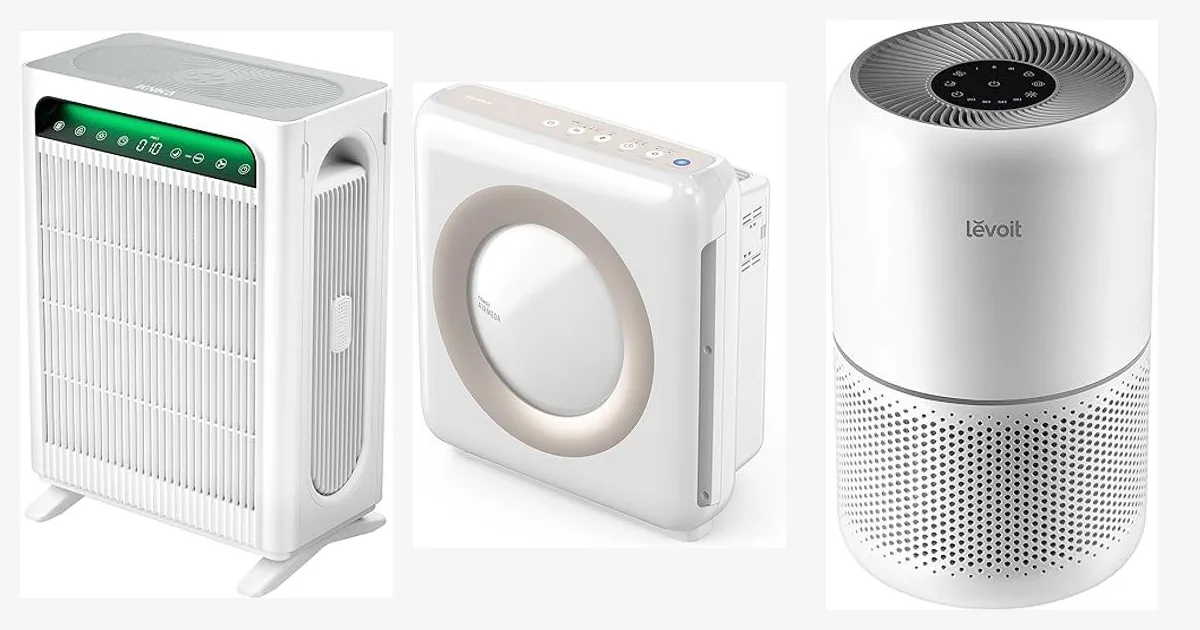 The Best Air Purifier for Allergies for Pets: Top 5 Picks