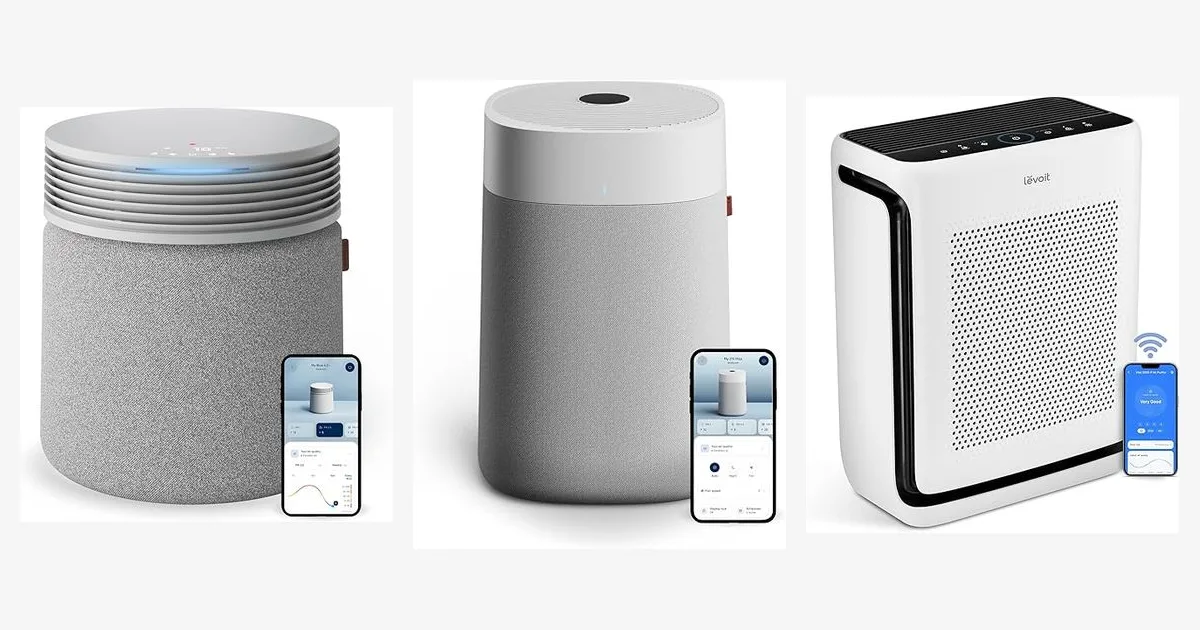 The Best Air Purifier for Large Room: Top 5 Picks for Clean Air