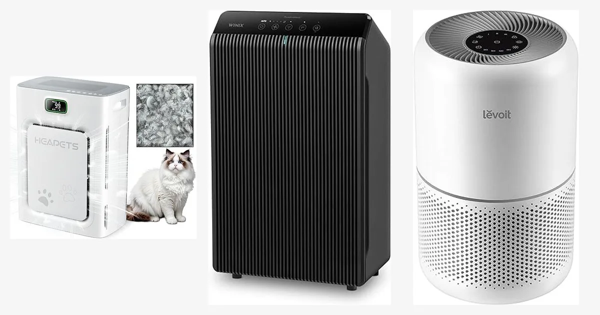 Best Air Purifier for Pets: Top 5 Picks for a Cleaner Home