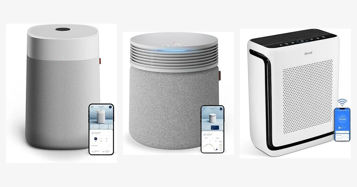 The Best HEPA Air Purifier for Large Room Environments