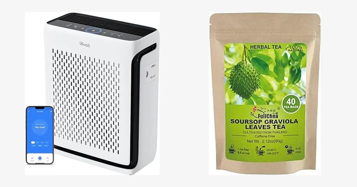 How to Choose an Air Purifier: A Comprehensive Buying Guide
